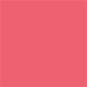 C120-TEAROSE чайная роза C120-TEAROSE