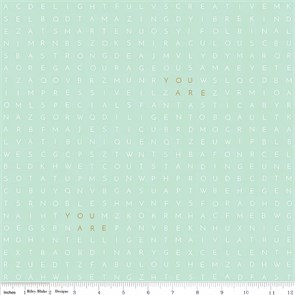 SC6664-MINT Буквы на зеленом SC6664-MINT