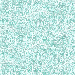 607 60 Beach Bound Coral Aqua 607 60